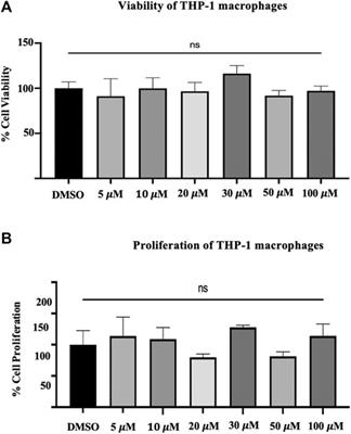 Antiatherogenic Effects of Quercetin in the THP-1 Macrophage Model In Vitro, With Insights Into Its Signaling Mechanisms Using In Silico Analysis